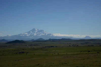 DSC_1052 (Large).JPG